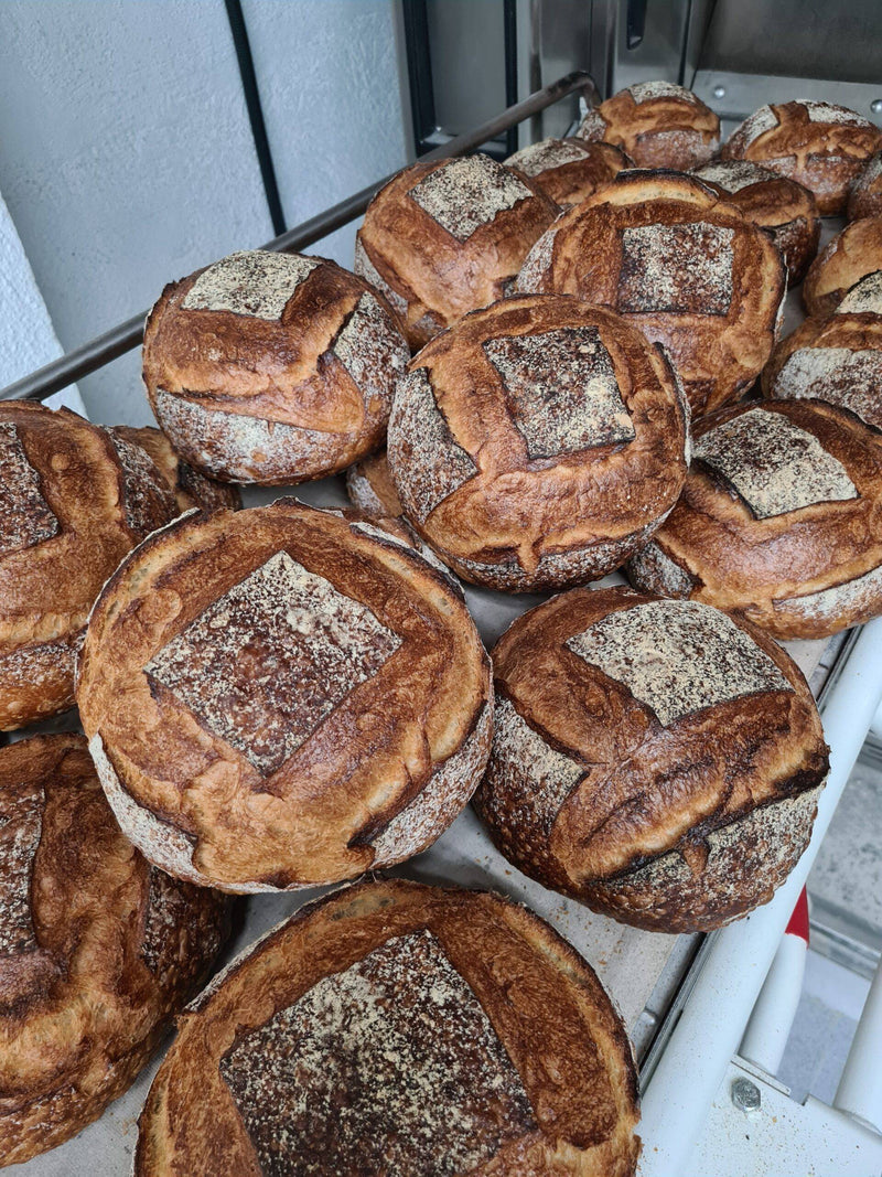 Curso de Pan Artesano