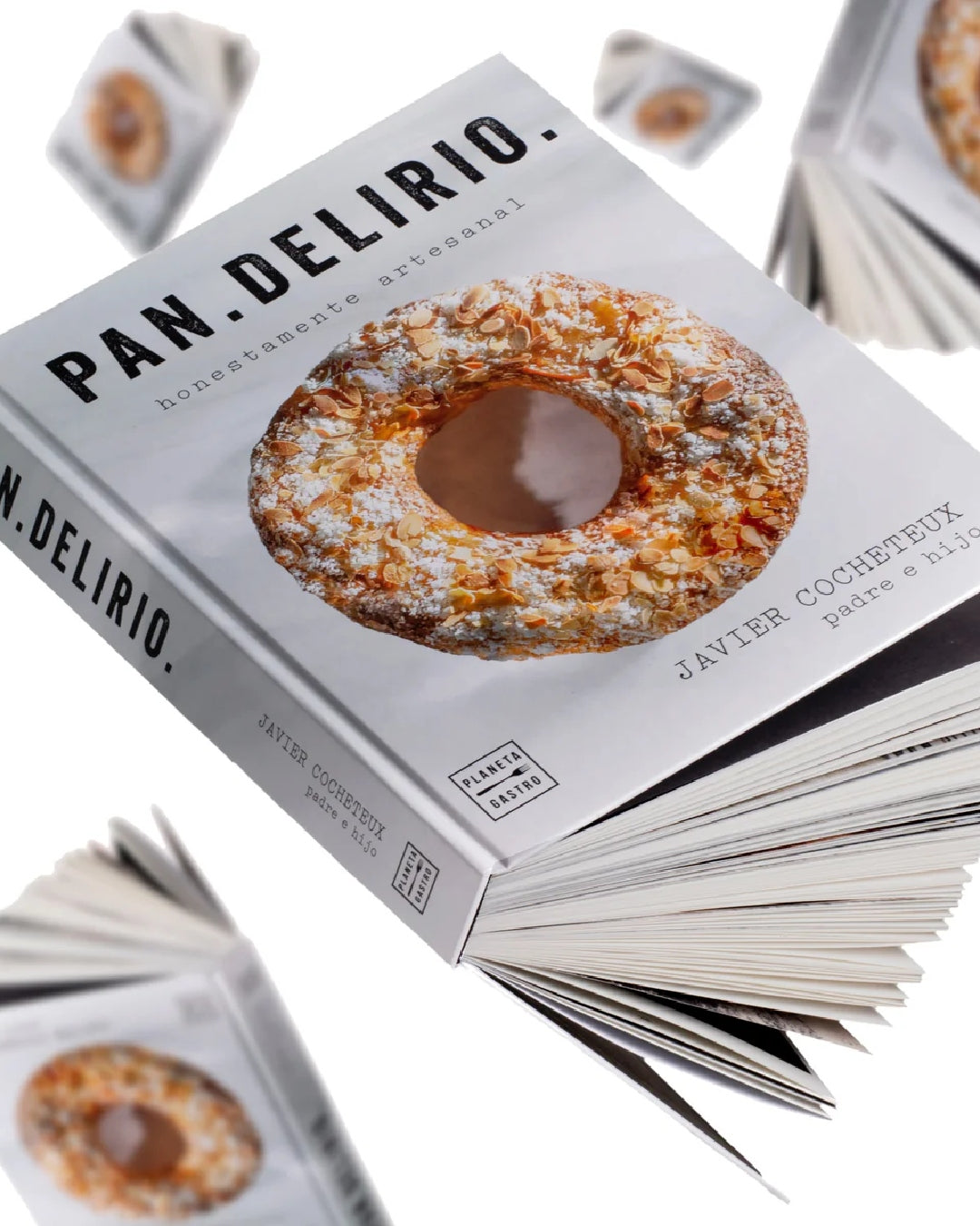 Libro pan.delirio