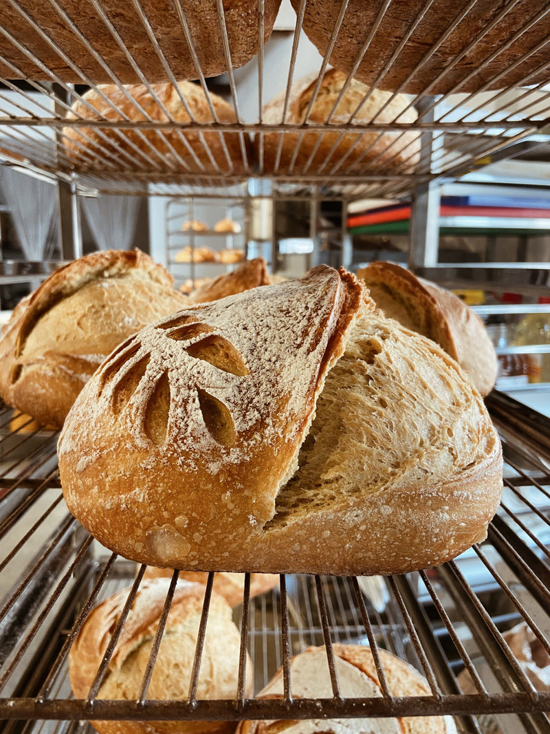 X Edición Escuela de Panadería